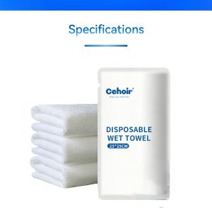 Disposable Wet Towel